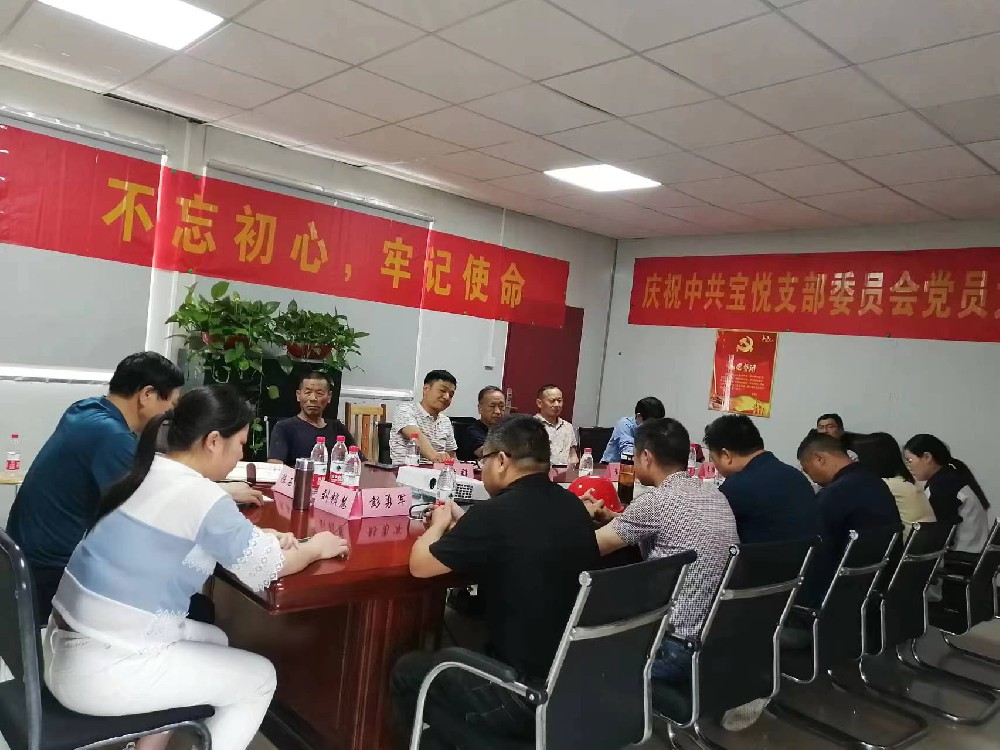 热烈庆祝宝悦党支部的成立！